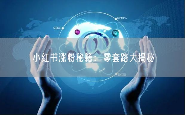 小红书涨粉秘籍：零套路大揭秘