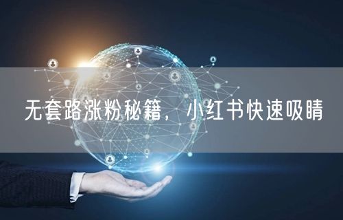 无套路涨粉秘籍，小红书快速吸睛