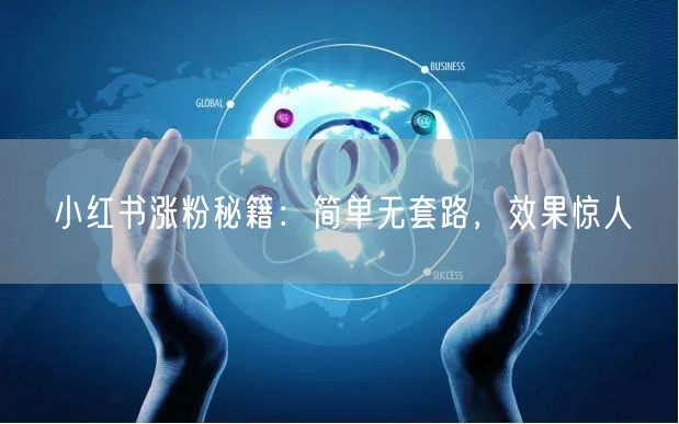 小红书涨粉秘籍：简单无套路，效果惊人