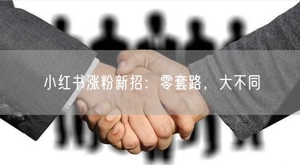 小红书涨粉新招：零套路，大不同