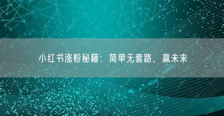 小红书涨粉秘籍：简单无套路，赢未来