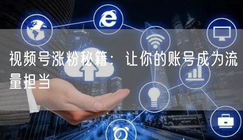 视频号涨粉秘籍：让你的账号成为流量担当
