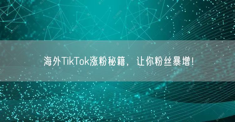 海外TikTok涨粉秘籍，让你粉丝暴增！