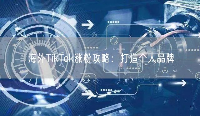 海外TikTok涨粉攻略：打造个人品牌